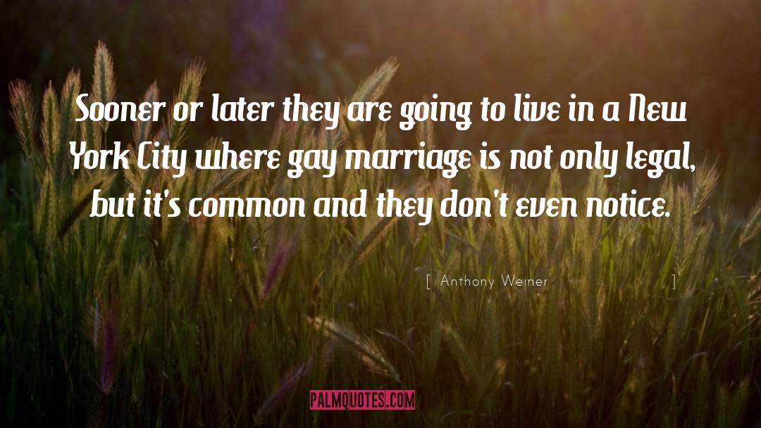 Great Gay Marriage quotes by Anthony Weiner