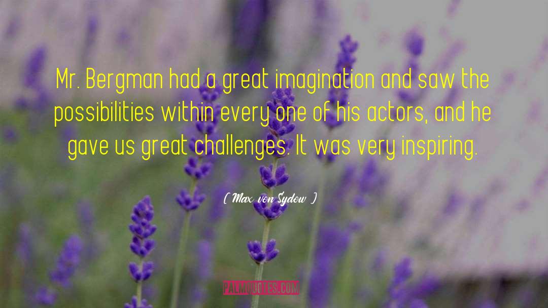 Great Imagination quotes by Max Von Sydow