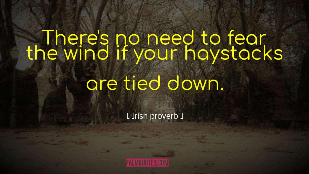 Great Irish Poet quotes by Irish Proverb
