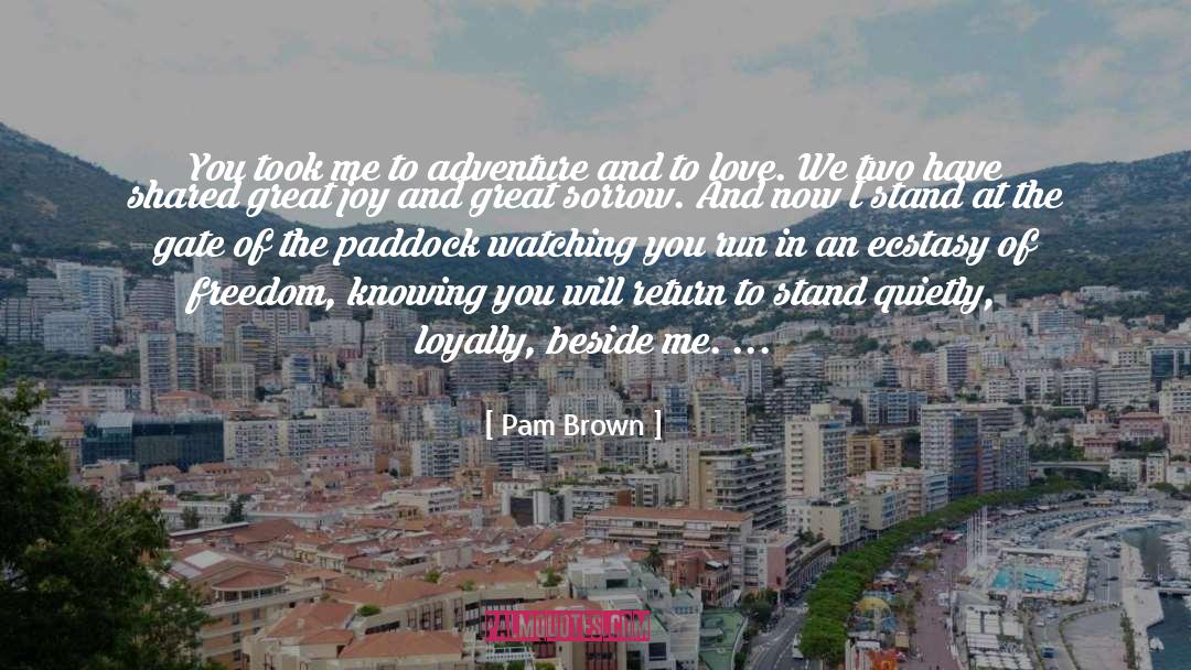 Great Joy quotes by Pam Brown