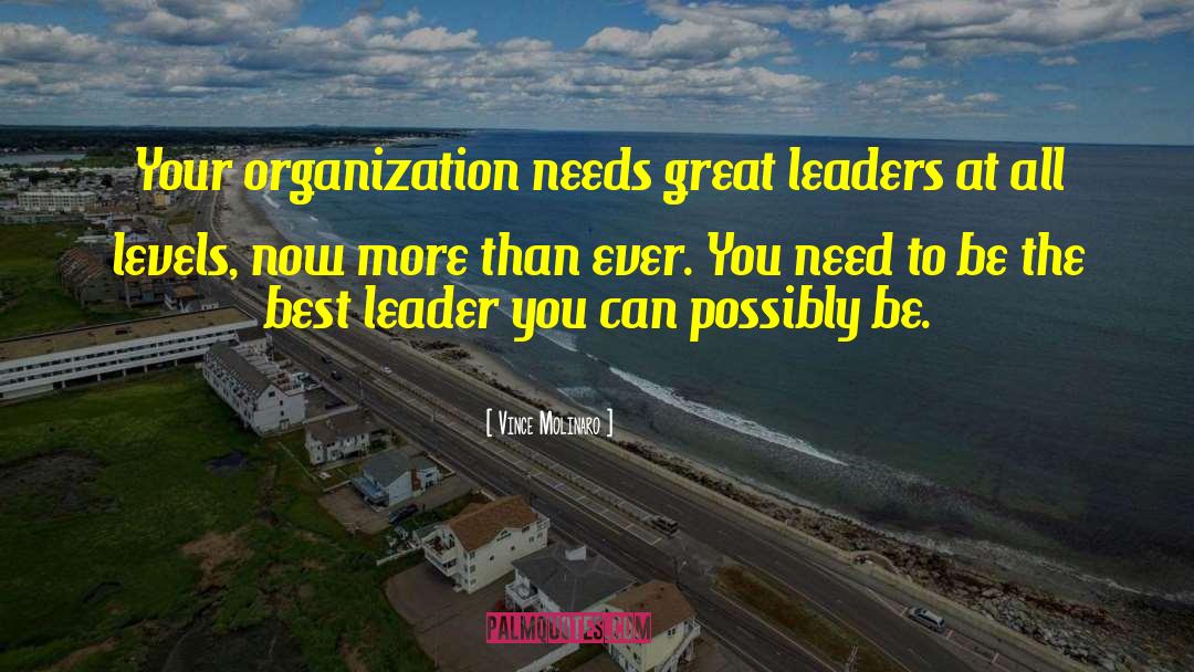 Great Leaders quotes by Vince Molinaro