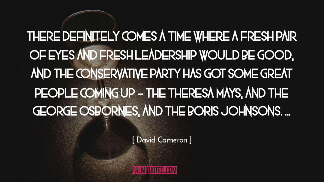 Great Leadership Development quotes by David Cameron