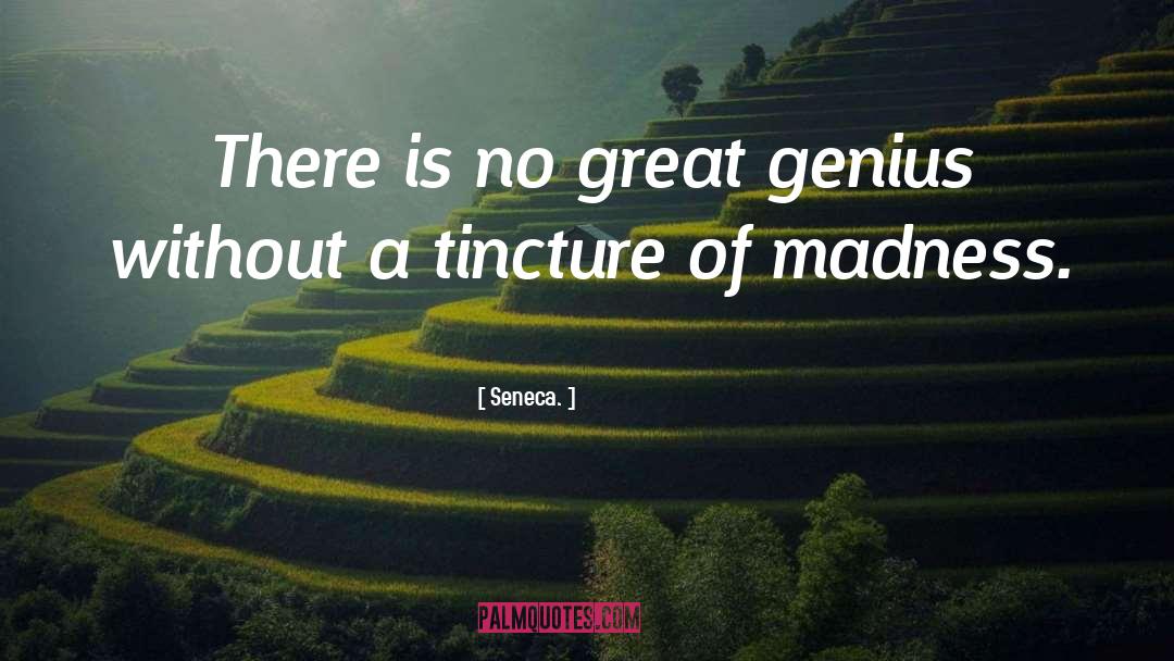 Great Leadership quotes by Seneca.
