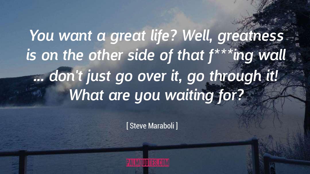 Great Life quotes by Steve Maraboli