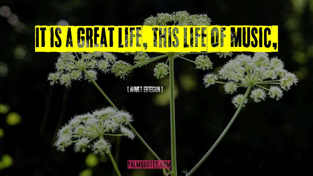 Great Life quotes by Ahmet Ertegun