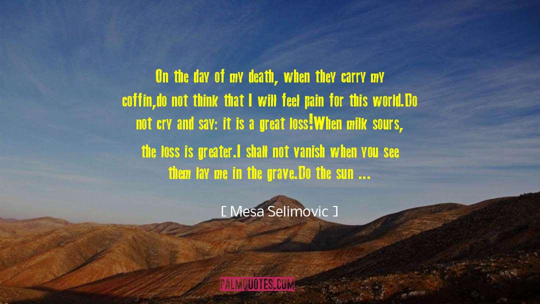 Great Loss quotes by Mesa Selimovic