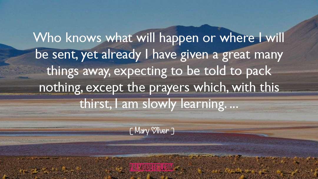 Great Many Things quotes by Mary Oliver