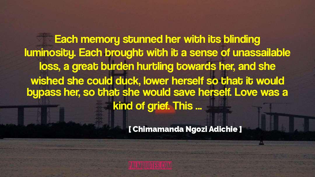 Great Metaphor quotes by Chimamanda Ngozi Adichie