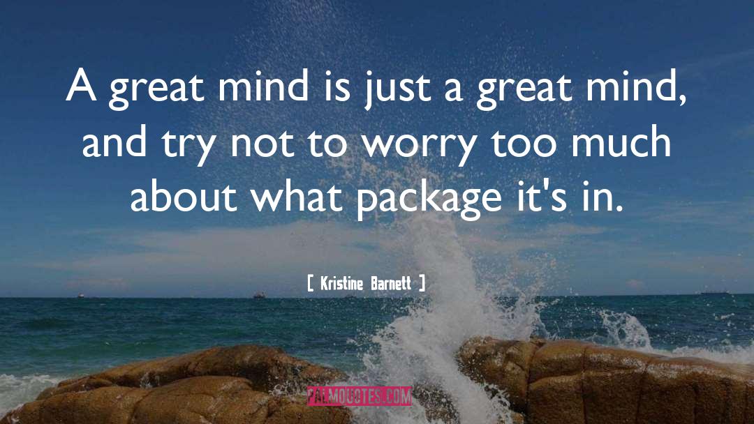 Great Mind quotes by Kristine Barnett