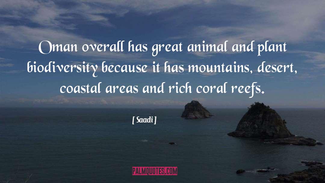 Great Mountains quotes by Saadi