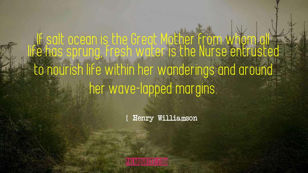 Great Ocean quotes by Henry Williamson