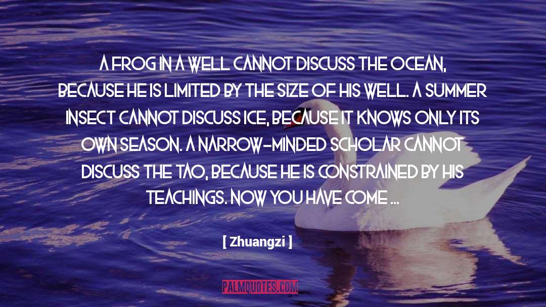 Great Ocean quotes by Zhuangzi