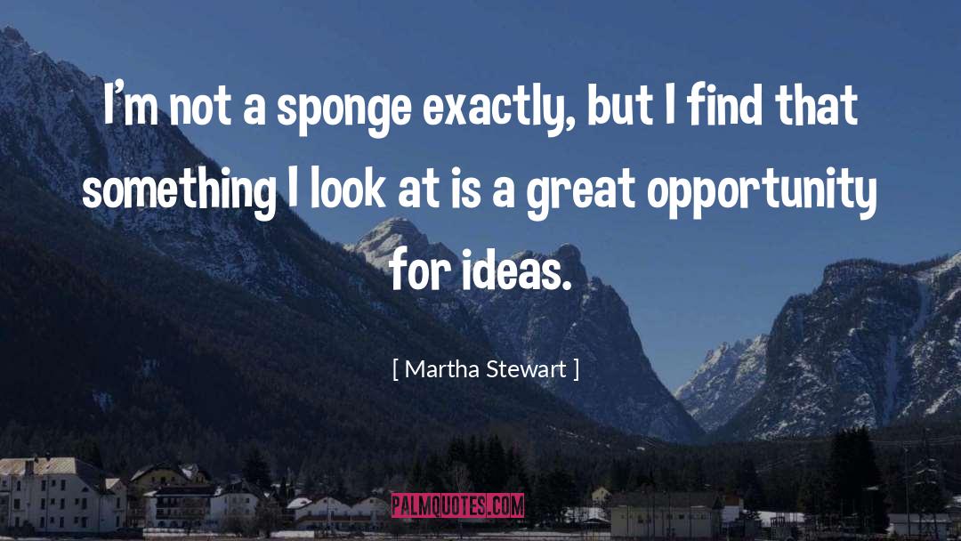 Great Opportunity quotes by Martha Stewart