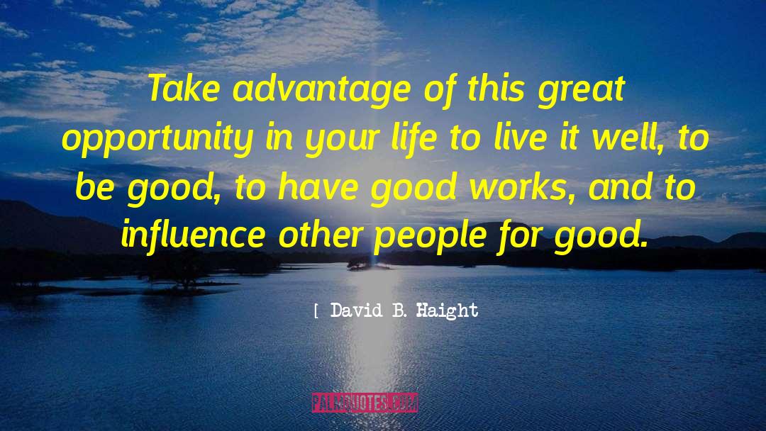 Great Opportunity quotes by David B. Haight