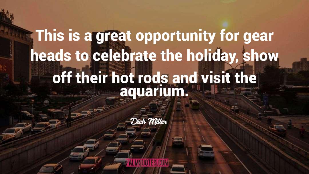 Great Opportunity quotes by Dick Miller