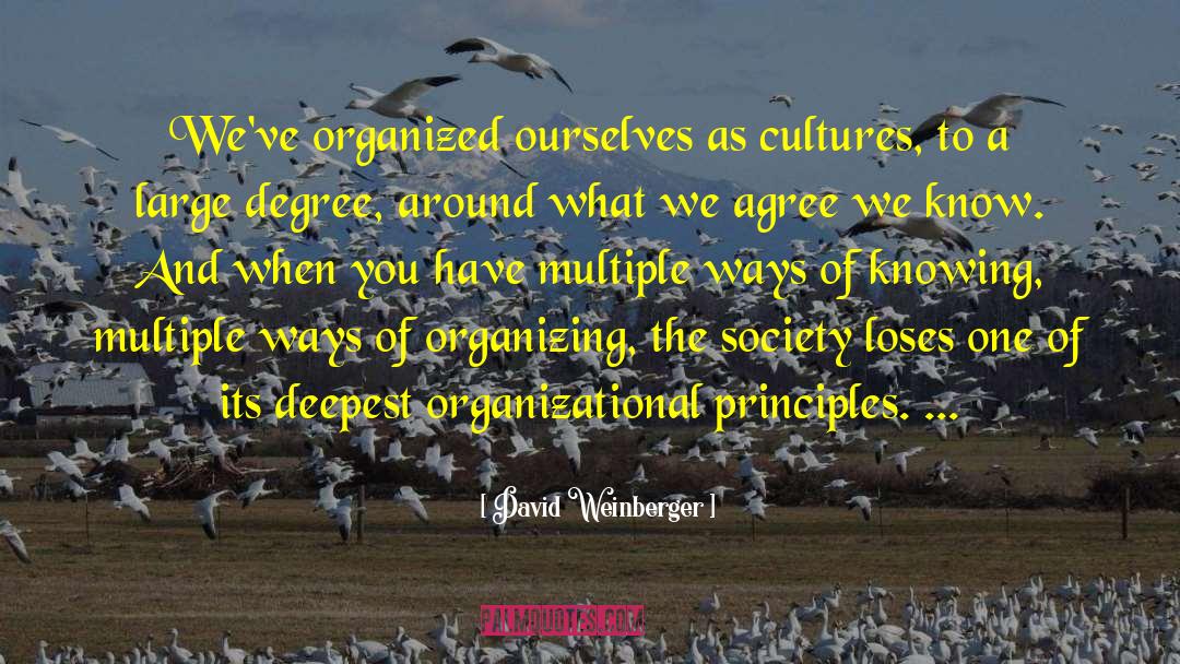 Great Organizational Cultures quotes by David Weinberger