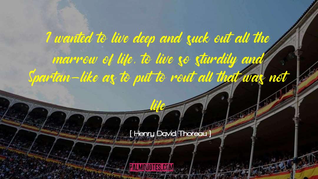 Great Outdoors quotes by Henry David Thoreau