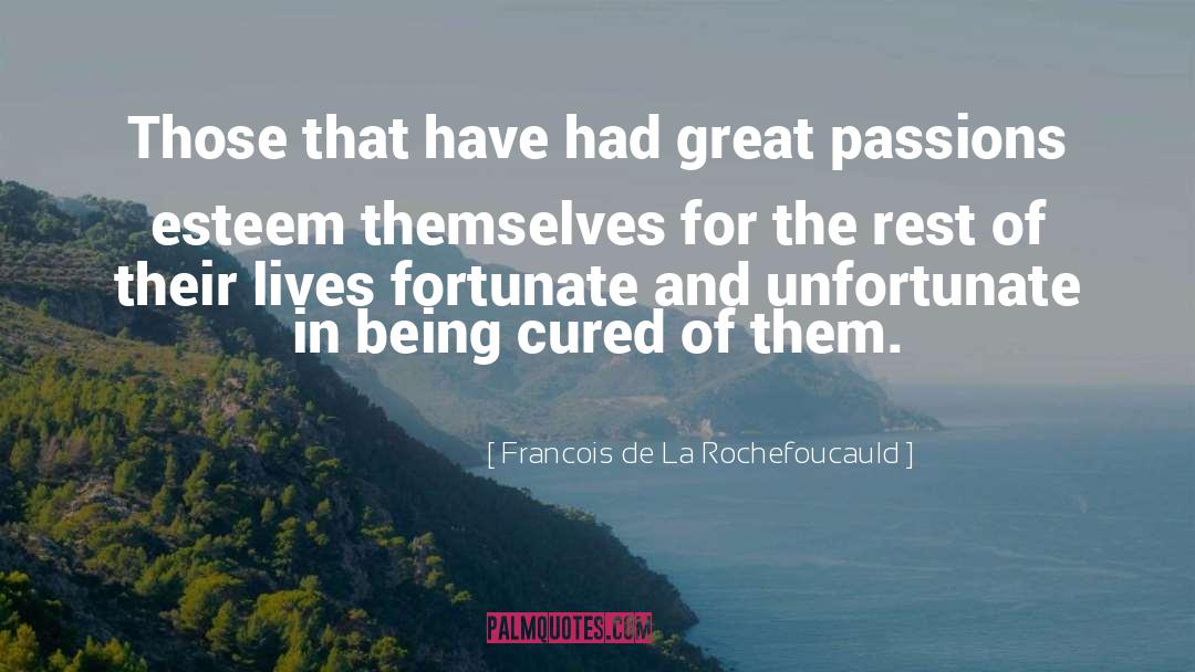 Great Passion quotes by Francois De La Rochefoucauld