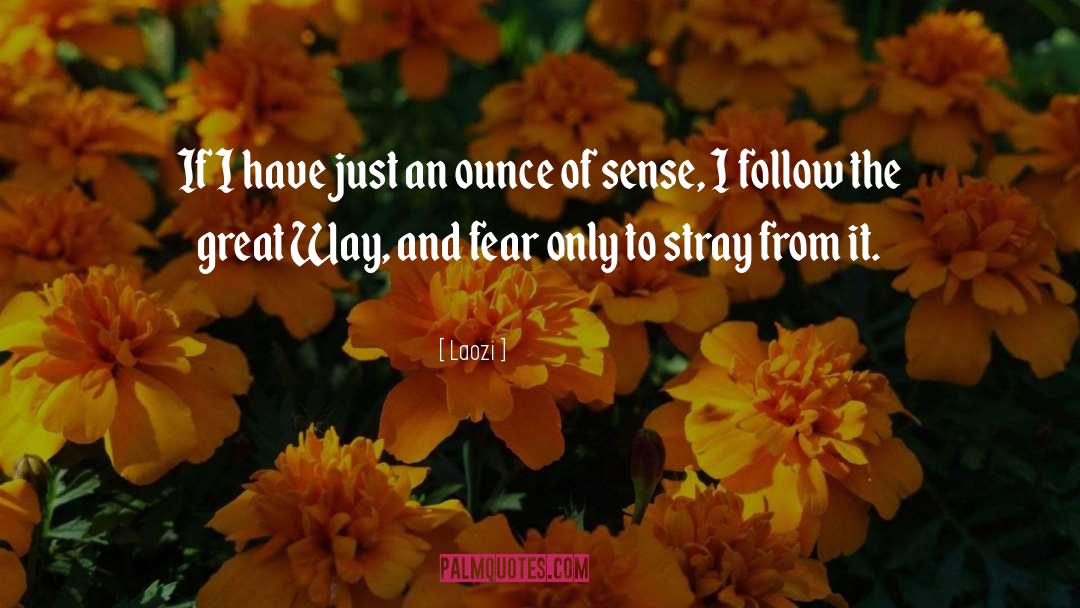 Great Philosophical quotes by Laozi