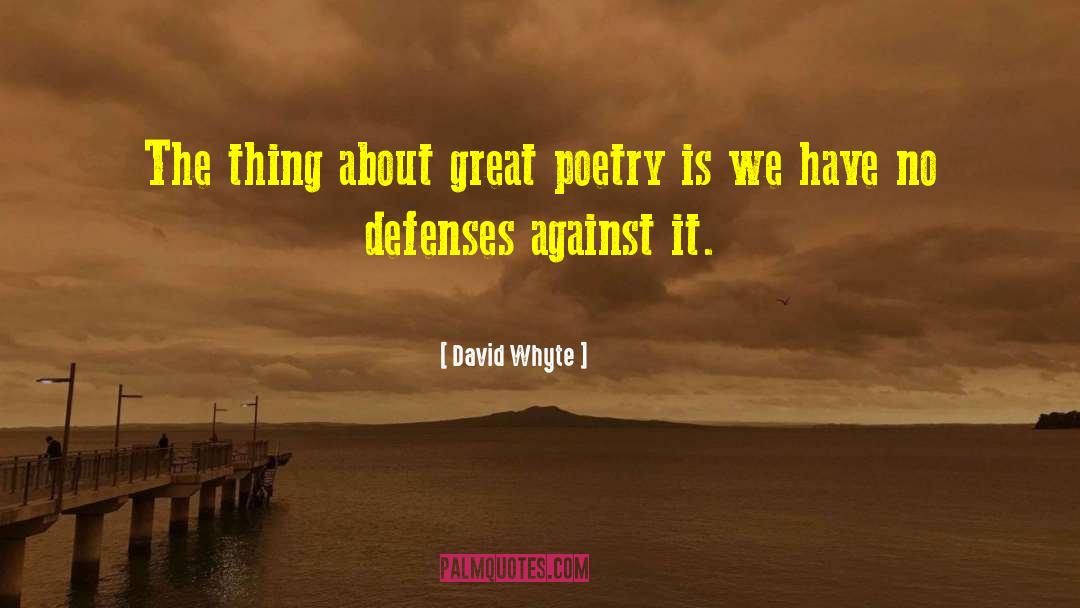 Great Poetry quotes by David Whyte