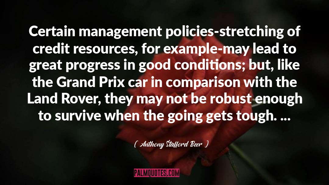 Great Progress quotes by Anthony Stafford Beer