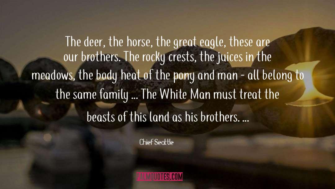 Great Pyramid quotes by Chief Seattle