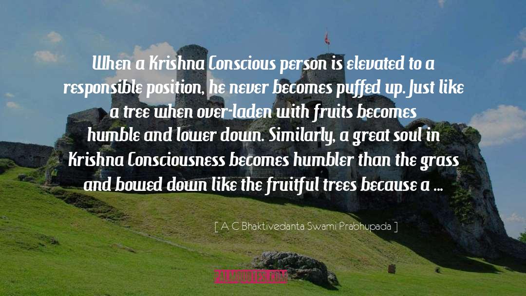 Great Responsibility quotes by A C Bhaktivedanta Swami Prabhupada