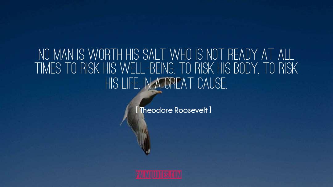 Great Risk quotes by Theodore Roosevelt