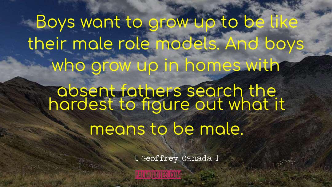 Great Role Models quotes by Geoffrey Canada