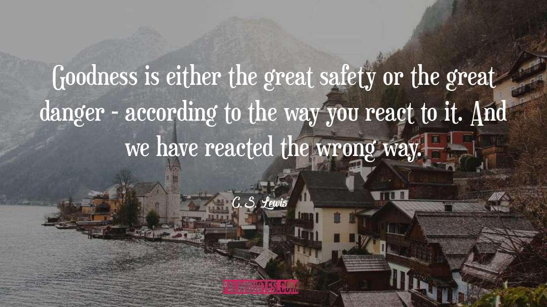 Great Safety quotes by C.S. Lewis