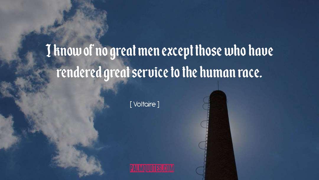 Great Service quotes by Voltaire