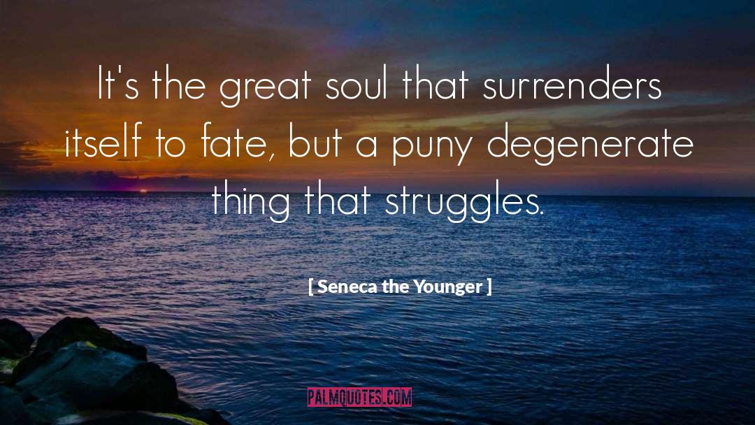 Great Soul quotes by Seneca The Younger