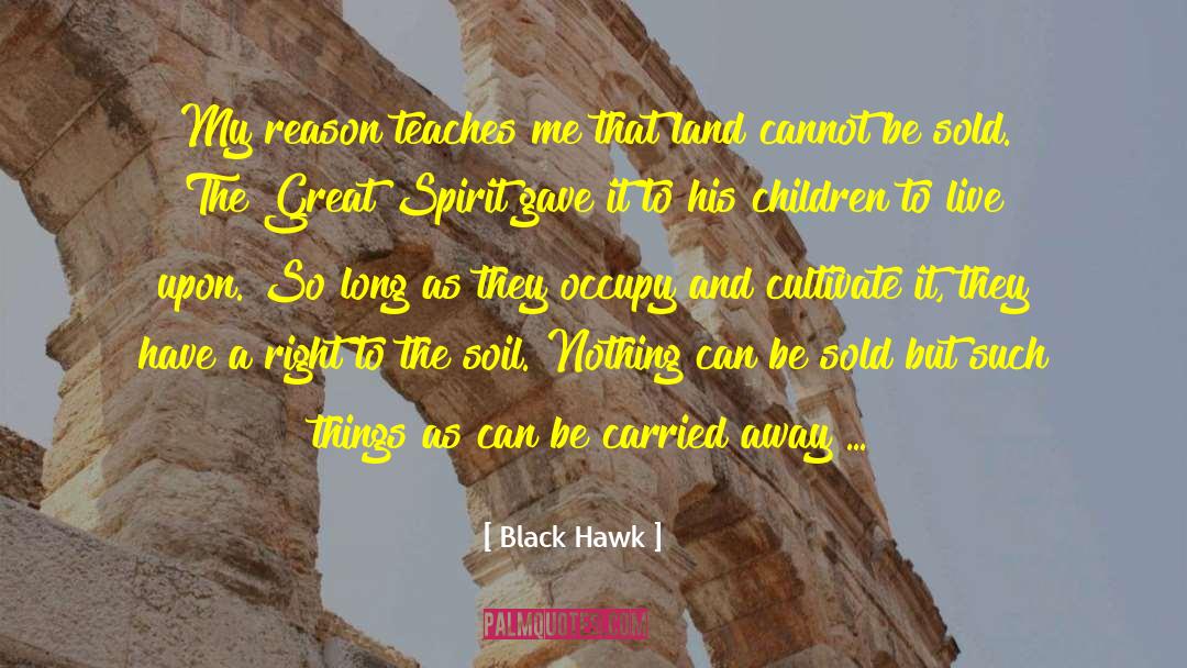 Great Spirit quotes by Black Hawk