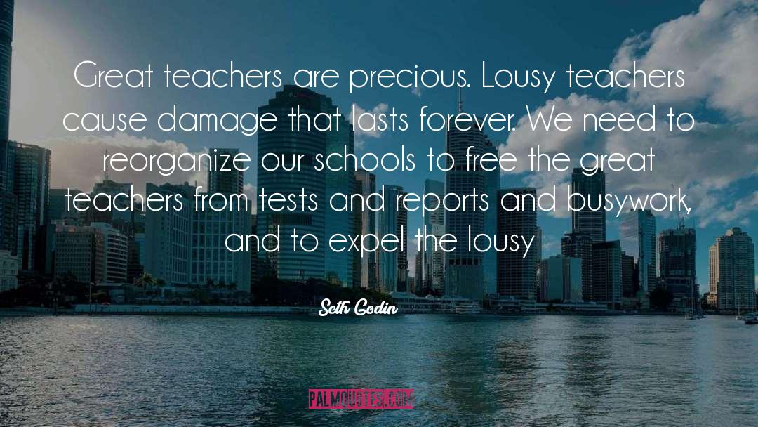 Great Teachers quotes by Seth Godin