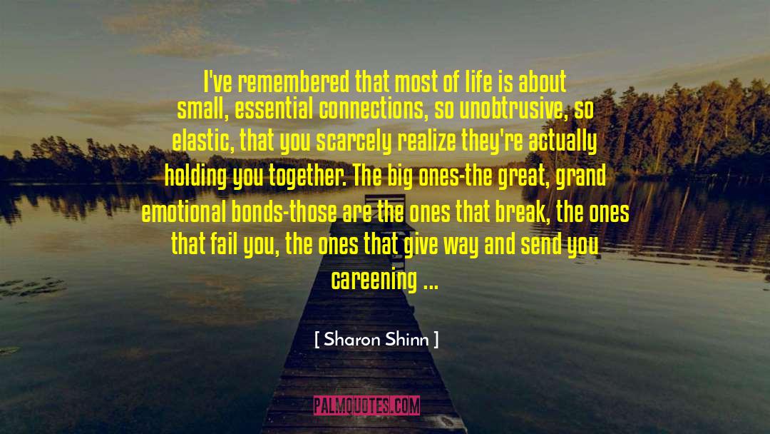 Great Tough Guy quotes by Sharon Shinn