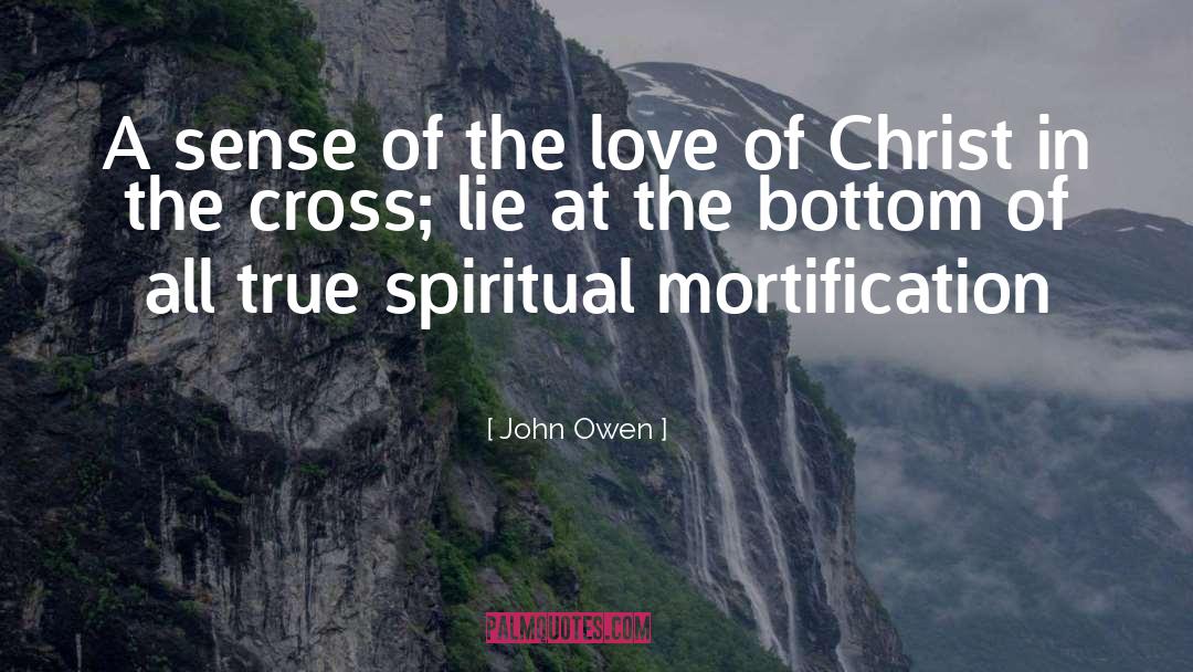 Great True Love quotes by John Owen