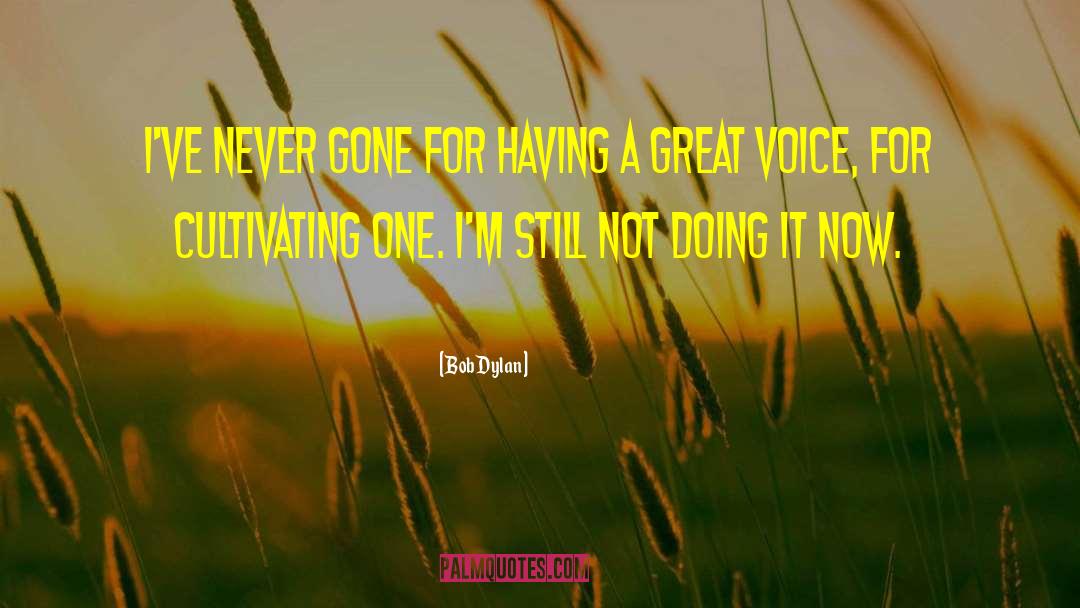 Great Voice quotes by Bob Dylan
