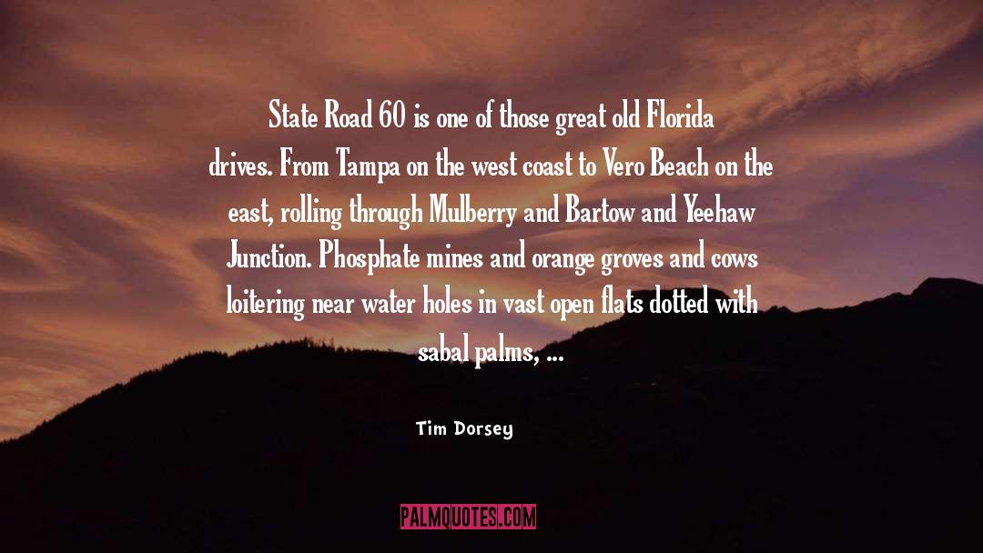 Great Wall Of China quotes by Tim Dorsey
