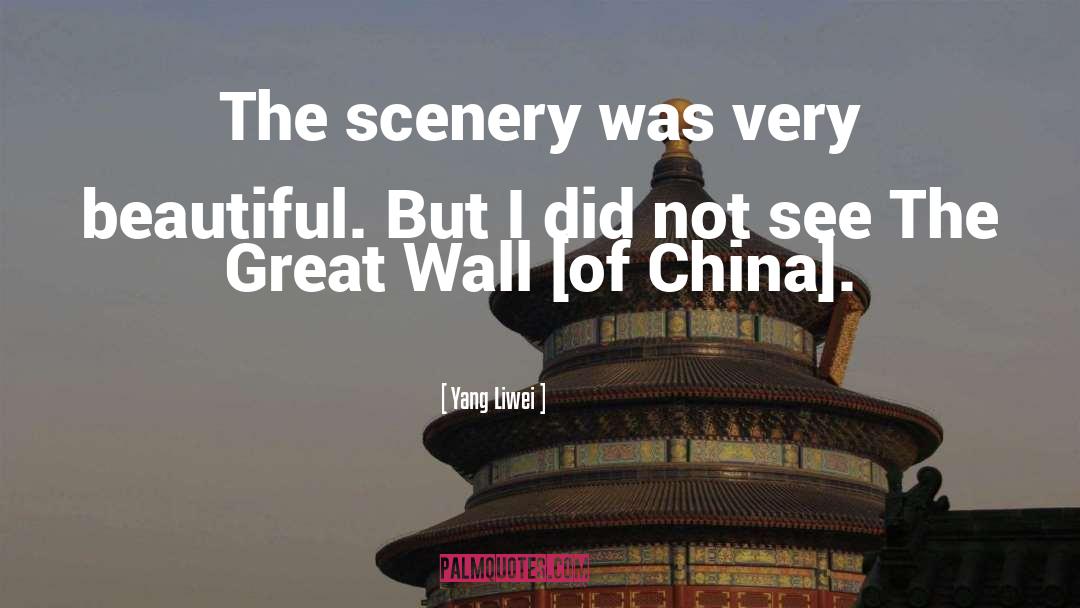 Great Wall Of China quotes by Yang Liwei