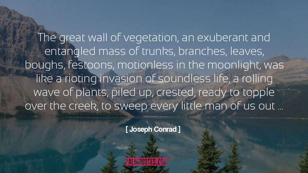 Great Wall quotes by Joseph Conrad