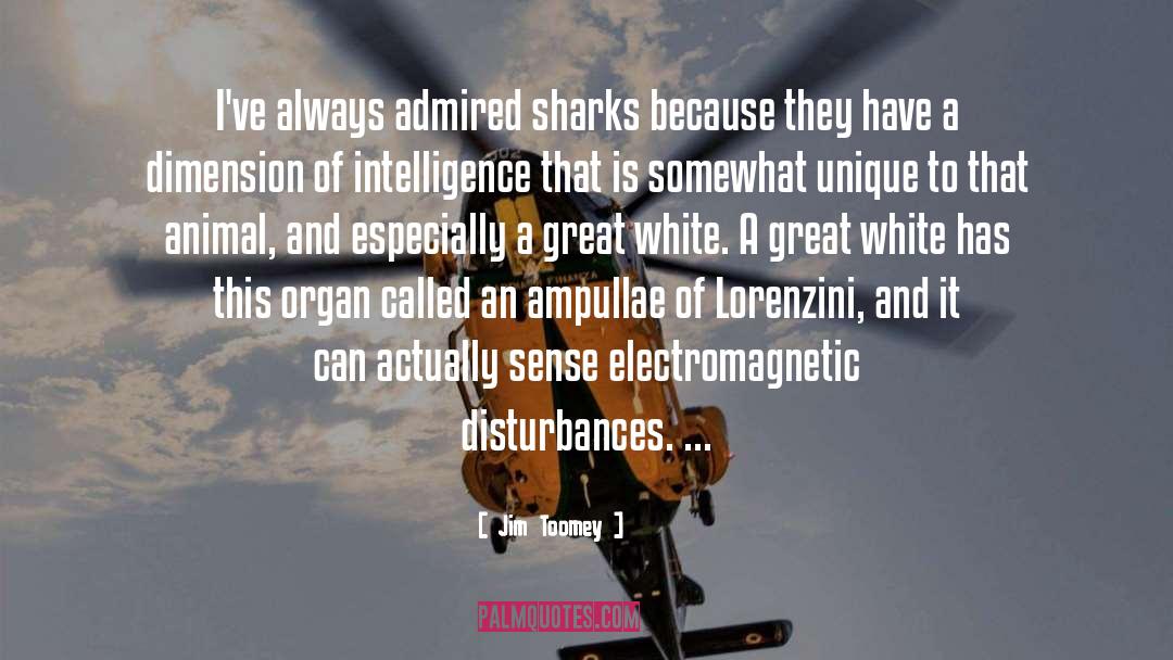 Great White quotes by Jim Toomey