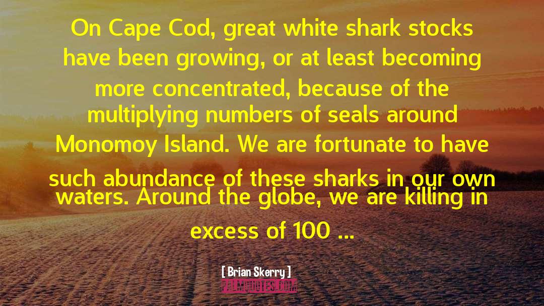 Great White quotes by Brian Skerry