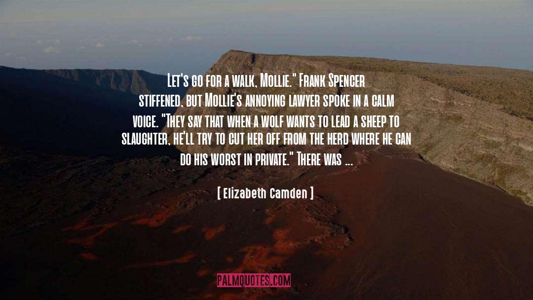 Great Wisdom quotes by Elizabeth Camden