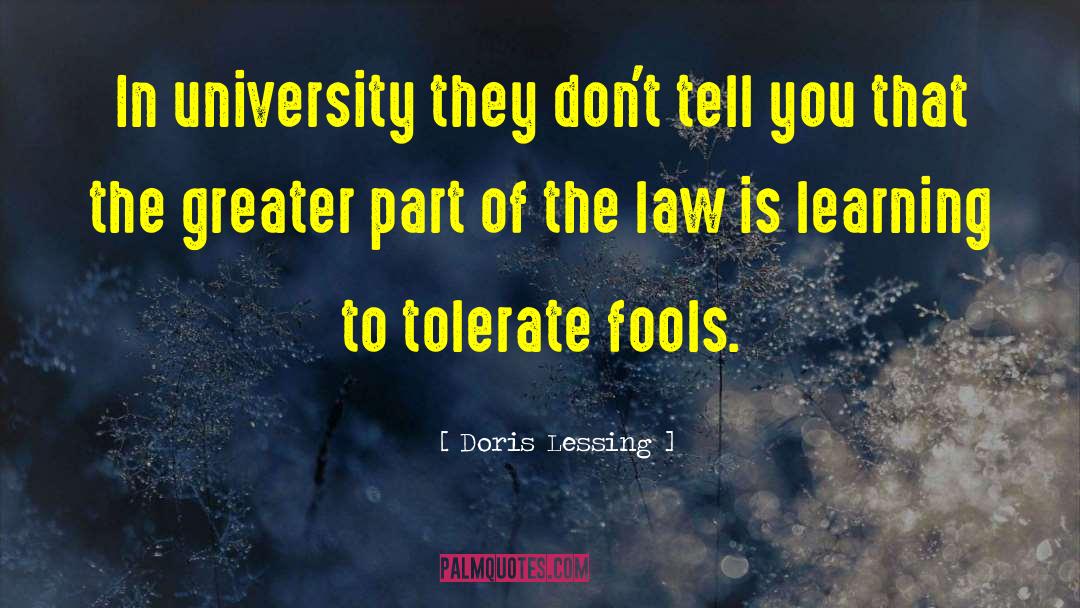 Greater Fool Theory quotes by Doris Lessing