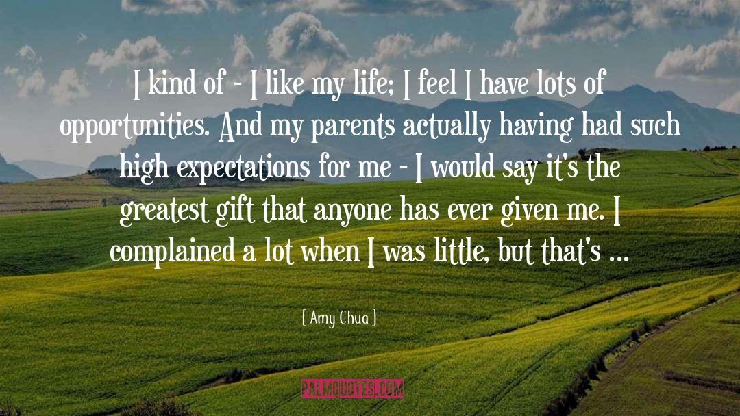 Greatest Gift quotes by Amy Chua