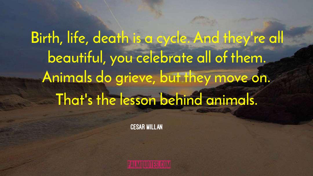 Greatest Lessons quotes by Cesar Millan