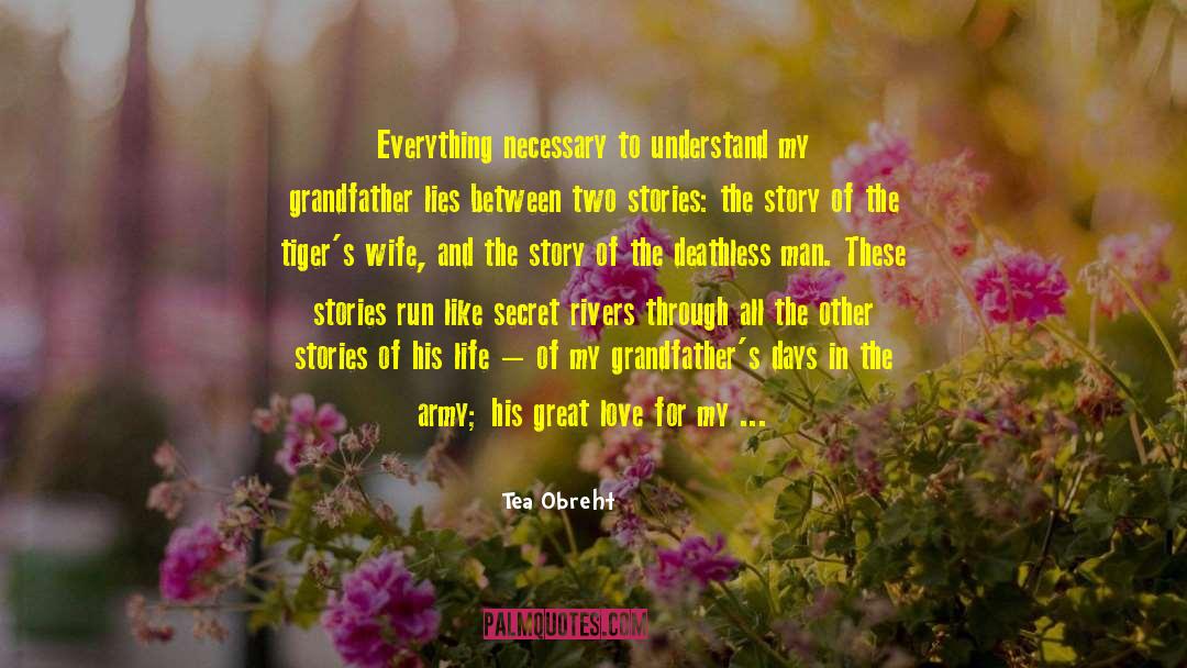 Greatest Love Stories quotes by Tea Obreht
