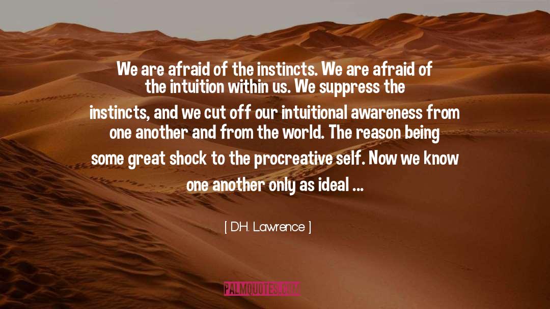 Greatest Political quotes by D.H. Lawrence