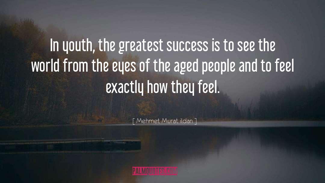 Greatest Success quotes by Mehmet Murat Ildan