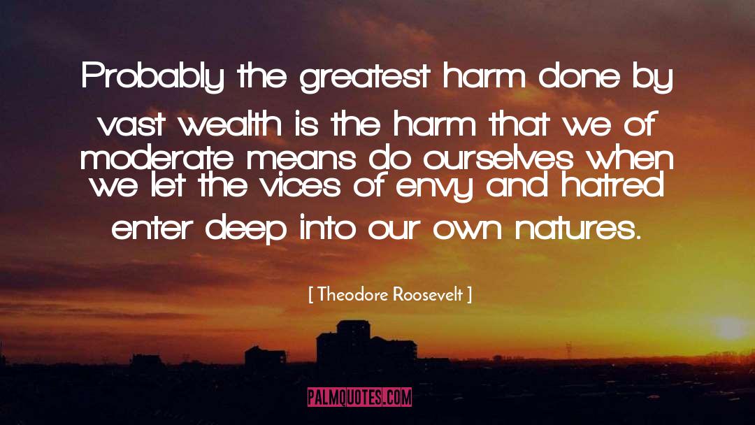 Greatest Wealth quotes by Theodore Roosevelt